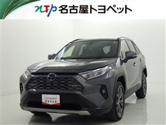 RAV4 G