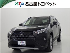 RAV4 G