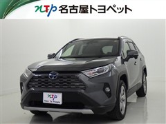 RAV4 HV G