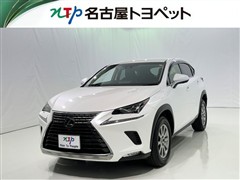 NX300 Iパッケージ