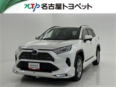 RAV4 HV G