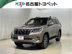 ランドクルーザープラド TZ-G