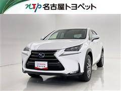 NX300h I-PKG