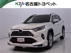 RAV4 HV G
