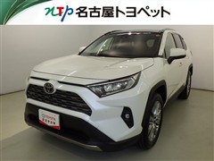 RAV4 G Zパッケージ