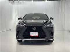NX350h F SPORT