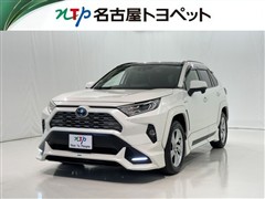 RAV4 HV G