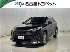 RAV4 G Zパッケージ