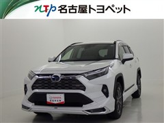 RAV4 HV G