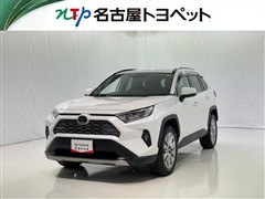 RAV4 G Zパッケージ