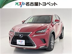 NX300h I-PKG