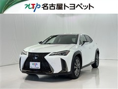 UX250H F SPORT