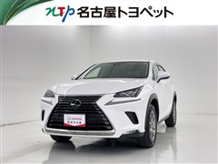 NX300 Iパッケージ
