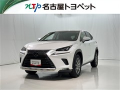 NX300 I-PKG