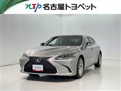 ES300h VER-L