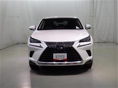 NX300h バージョンL