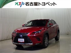 NX300h Iパッケージ
