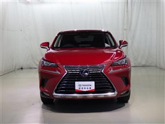 NX300h Iパッケージ