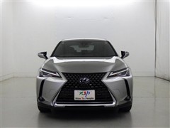 UX250h バージョンC