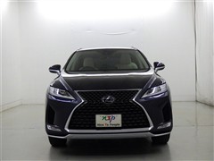 RX300 バージョンL