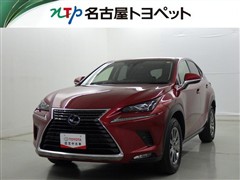 NX300h Iパッケージ