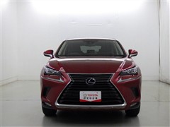 NX300h Iパッケージ