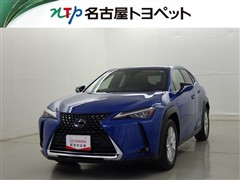 UX250h バージョンC