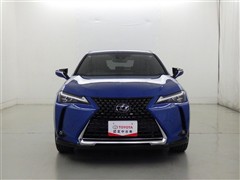 UX250h バージョンC