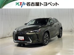 UX250H バージョンC