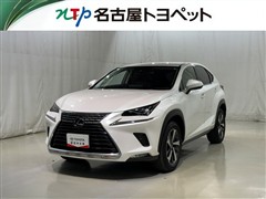 NX300h バージョンL