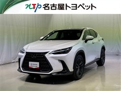 NX250 バージョンL