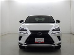 NX300h スパイス&シック