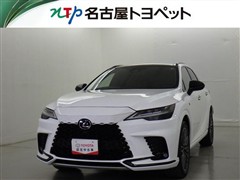 RX500h FSPerformance