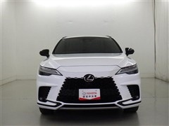 RX500h FSPerformance