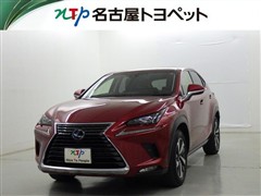 NX300h Iパッケージ
