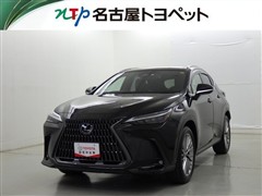 NX250 バージョンL