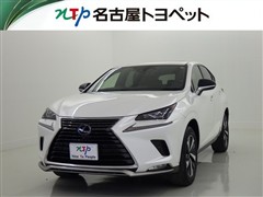 NX300h スパイス&シック