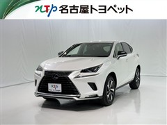 NX300h Spice&Chic