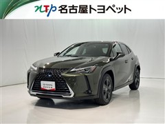 UX250h VER-C