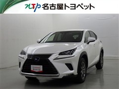 NX300h Iパッケージ