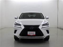 NX300h Iパッケージ