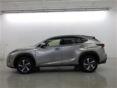 NX300 Iパッケージ