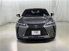 UX250h バージョンC