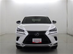 NX300 スパイス&シック