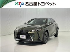 UX250h バージョンC