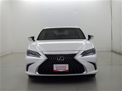 ES300h ベースグレード