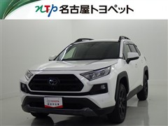 RAV4 アドベンチャー オフロート
