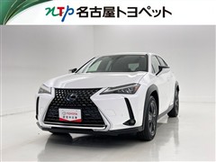 UX250h VER-C