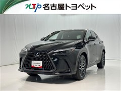 NX350h VER-L