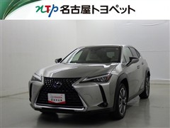 UX300e バージョンL